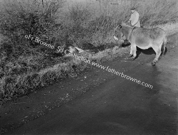 FARMER WITH DONKEY